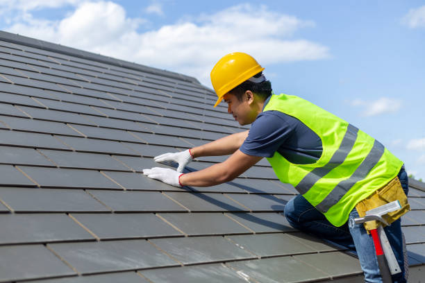 Best Residential Roof Replacement  in Norman Park, GA