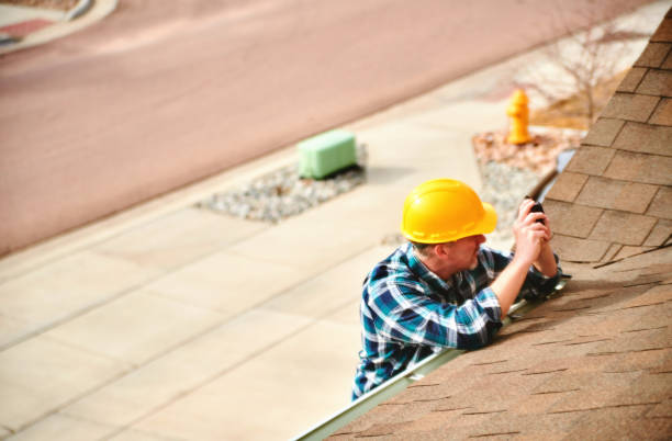 Best Gutter Installation and Roofing  in Norman Park, GA