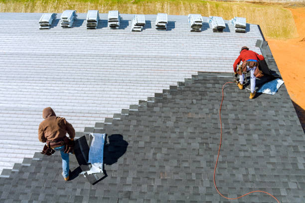 Best Metal Roofing Contractor  in Norman Park, GA