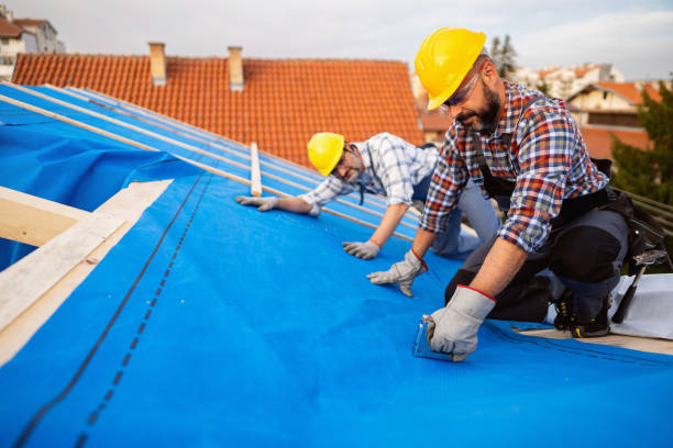Best Commercial Roofing Services  in Norman Park, GA